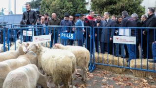 Uşak’ta Eşme Koyunu ve Küçükbaş Hayvan Yetiştiriciliğine Destek Projeleri