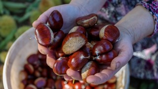 Yeni Yıl Öncesi Kuruyemiş Fiyatları Uçuşa Geçti: Tüketici ve Esnaf Zor Durumda