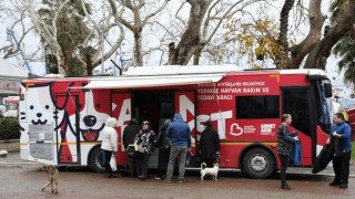 Balıkesir’in Mobil Şefkati: Can Dost ile Patili Dostlar Sağlığına Kavuşuyor