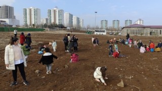 Çocuklar meşe tohumlarını toprakla buluşturdu