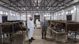 Giresun'da Hastalıktan Ari İşletmelere Sağlık Sertifikası Verildi