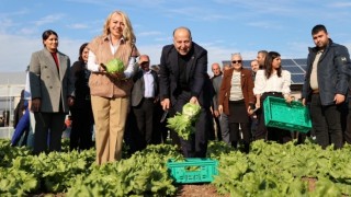 Kadın Çiftçilere Büyük Destek: Yüreğir Ekolojik Tarım Alanı Açıldı