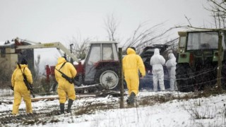 Rusya ve Belarus, Almanya'dan Hayvancılık Ürünleri İthalatını Yasakladı