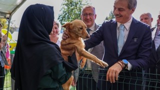 Başkan Yusuf Alemdar: Sokak Hayvanlarına Doğal Yaşam Ortamı Sunacağız