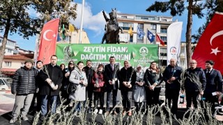 Denizli Büyükşehir’den zeytin seferberliği