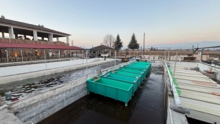 Erzincan'da Su Ürünleri Üretiminde Büyük İvme: Sektörün Geleceği Parlıyor