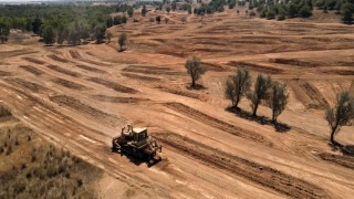 İsrail Tarımı Tehlikede: Çiftçiler Destek Bekliyor