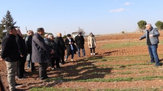 Şanlıurfa Büyükşehir Belediyesi'nden Çiftçilere Toprak İşleme Eğitimi