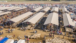 Türkiye’nin En Büyük Hayvan Pazarı Geçici Olarak Kapatıldı