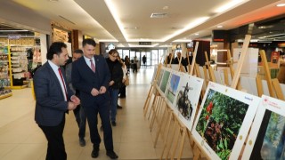 Uluslararası Tarım, Orman ve İnsan Fotoğraf Yarışması Eskişehir'de Sergileniyor