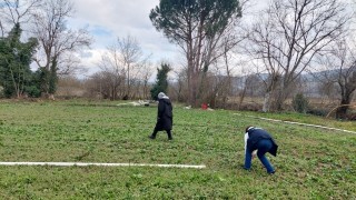 Çanakkale'de Pyrrolizidine Alkoloid İçeren Yabancı Otlarla Mücadele Başladı