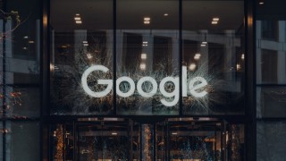 Google ve Indigo Ag'den Çevre Dostu Tarım Hamlesi: 1,5 Milyon Dolarlık Yatırım