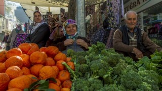 İstanbul Hallerine 177 Bin Ton Meyve ve Sebze Girişi! İşte En Çok Tüketilenler