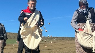 Kadın Çiftçiler Sarımsak Ekimi Yaptı, Bakan Yumaklı Destek İçin Yanlarındaydı