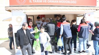 Mardin'de Çocuklar Toprakla Buluştu: "Okuldaki Çiftlik" Projesi Hasat Verdi