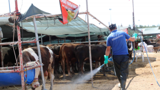 Antalya Büyükşehir’den Kurban Bayramı Öncesi Haşere Mesaisi