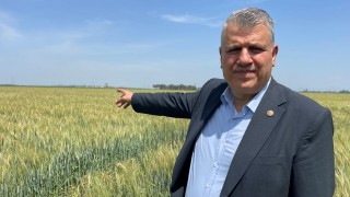 Buğdayda Yüzde 50 Rekolte Şoku: CHP'den Hükümete Kritik Çağrı!