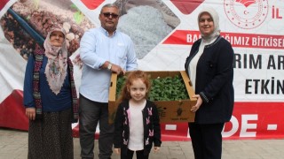 Düzce'de Tarıma Can Suyu: 250 Üreticiye %75 Hibeli 121 Bin Fide Dağıtıldı!