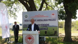 Edirne'de Meralar Canlanıyor! Kemalköy'de Islah Çalışmaları Sonuç Verdi