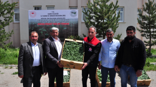 Kars’ta Çiftçiye Yazlık Sebze Fidesi Desteği