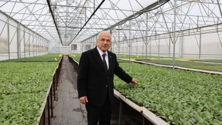 Ordu Kendi Fidesini Üretiyor: 5 Yılda 4 Milyon Adet Toprakla Buluştu!