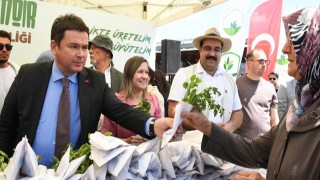 Osmangazi'den Toprakla Buluşmaya Davet: O Fideler Ücretsiz Dağıtıldı!