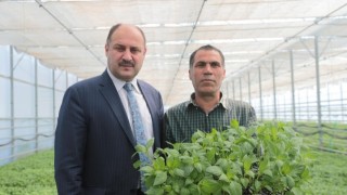 Şanlıurfa Tarımında Çağ Atlanıyor: Ata Tohumdan Teknolojiye Dev Hamle!