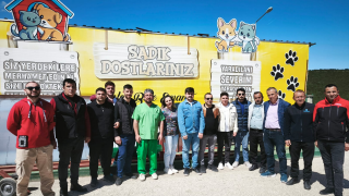 Sokak Hayvanlarına Müdahalede Bilinçli Yaklaşım