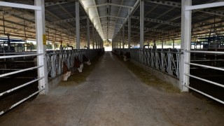Tarım ve Orman Bakanlığı'ndan Büyük Destek: 329 Projeye 3.6 Milyar TL IPARD III Hibesi!