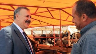 Trabzon'da Kurban Bayramı Hazırlıkları Tamam