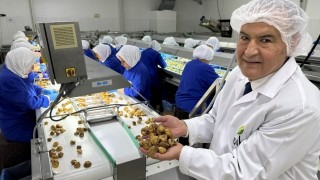 Türk Kuru Meyve İhracatında Yüzde 9 Gelir Artışı Sevinci, Don Kayıpları Endişesi!