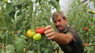 Üreticilere Yüzde 50 Hibeli Sera Desteği!