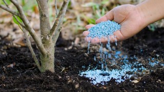 AB, Rusya’dan Gübre İthalatına Yeni Vergi Getiriyor