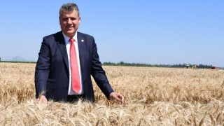 Çiftçiye Kötülük Ediliyor! Buğday Fiyatları 20 Liraya Revize Edilsin!
