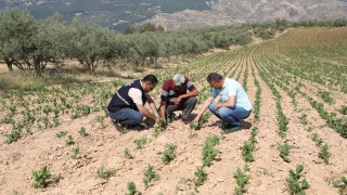 Dolu Mağduru Üreticilere Nefes Aldıran Gübre Desteği!
