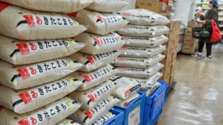 Japonya’dan Sabit Fiyatlı Pirinç Satışı