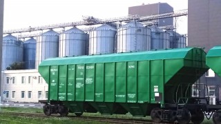 Kazakistan'dan Rekor Buğday İhracatı: Yeni Pazarlarla Büyüme Hedefi