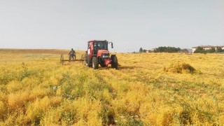 Kırmızı Mercimekte Yıllık %54 Fiyat Artışı, Kuru Fasulyede %23 Düşüş!