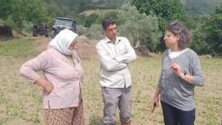 Muğla'da Dolu Felaketi Sonrası Üreticiye Destek Eli Uzatıldı