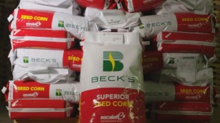 Beck’s, Syngenta’dan Mısır Tohumu Üretim Tesisi Satın Alıyor!
