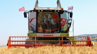 İBB'den Çiftçiye Destek: Yerli Tohumlarla Yeni Hasat Sezonu Başladı