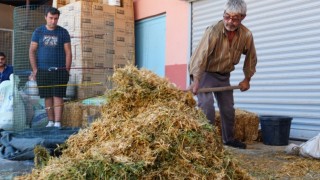 İklim Kriziyle Mücadelede İklim Dostu Çiftlikler Çözüm Oluyor