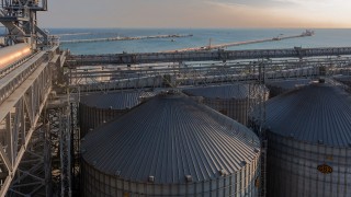 Rus Buğdayı ve Arpa Fiyatlarında Yükseliş: Temmuz-Ağustos Teslimatlarında Artış Sürüyor