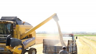 TMO'dan Yemlik Arpa İhalesi: 225 Bin Ton İthal Edilecek