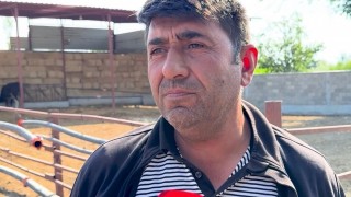 Üreticiden İsyan: “Hem Çiftçilikte Hem de Hayvancılıkta Battık!”