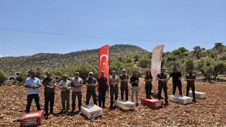 Biyolojik Mücadele İçin Doğaya 300 Kınalı Keklik Salındı