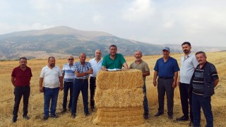 Buğday Üreticisi 2 Yılda %47 Mazot Kaybı Yaşadı