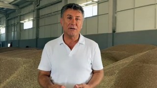 CHP'den Kırmızı Mercimek Tepkisi: Üretici Maliyetin Altında Eziliyor