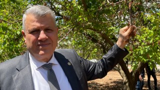 CHP’li Ayhan Barut’tan Don Felaketi Açıklaması: "Yetersiz Ödemeler Kasım’a Sarkıtıldı"