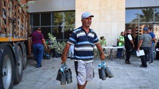 Çiftçilere Zeytin Fidanı Desteği